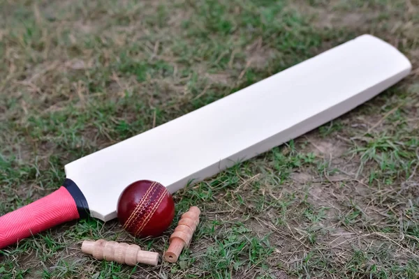 Cricket bat, ball and bails
