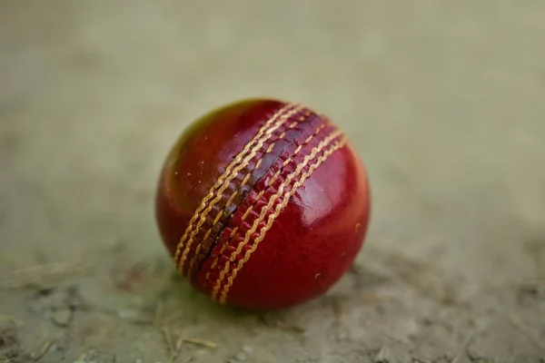 Kriket topu kapatın — Stok fotoğraf