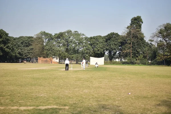 Playing cricket in field — Stock Photo, Image