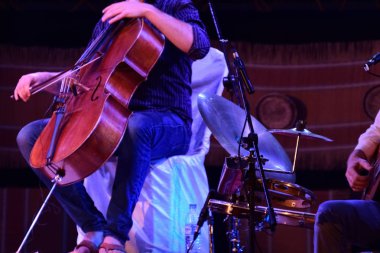 Canlı performans sahnesinde keman çalmak