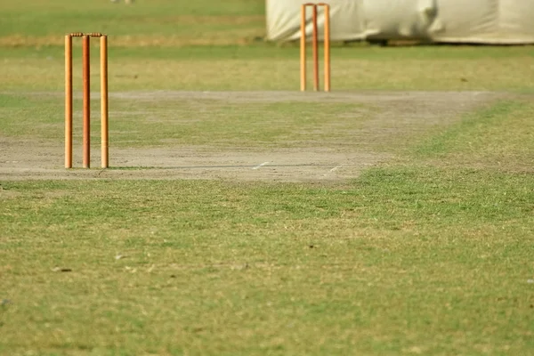 Boş kriket pitch — Stok fotoğraf