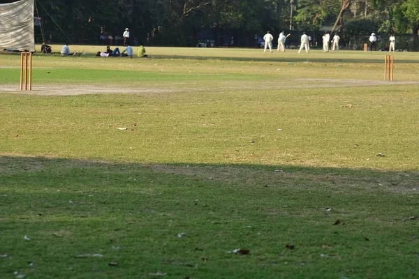 Empty cricket pitch — Stock Photo, Image