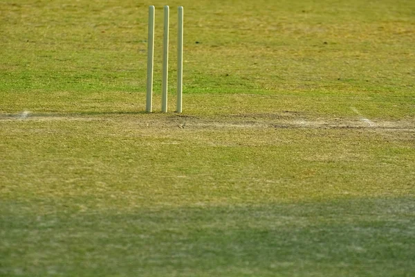 Oynamak için boş kriket sahası