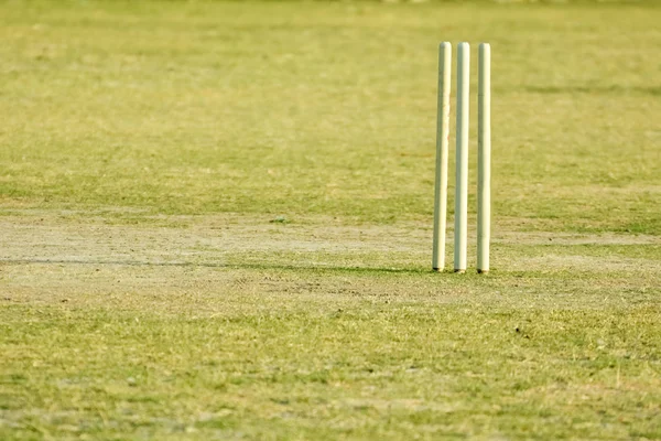Boş kriket pitch 