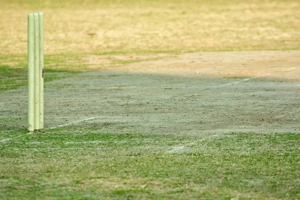 Boş kriket pitch 