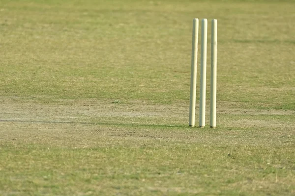 Boş kriket pitch 