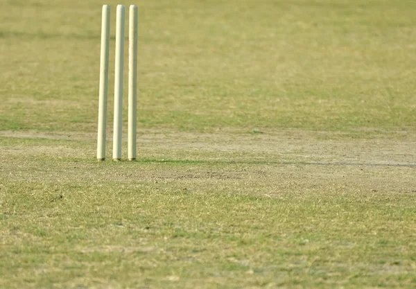 Boş kriket pitch 