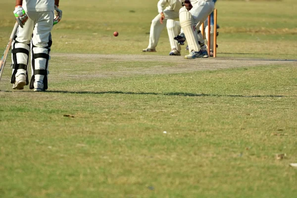 Çocuklar Kriket Oynuyor — Stok fotoğraf