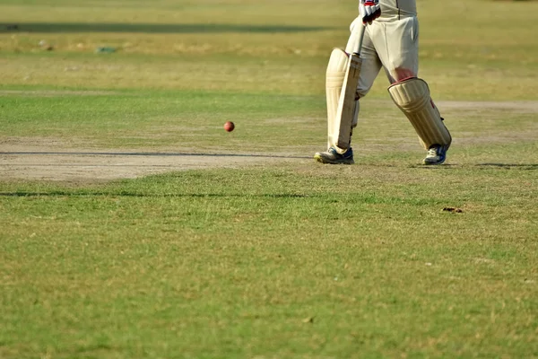 Ragazzi Stanno Giocando Cricket — Foto Stock