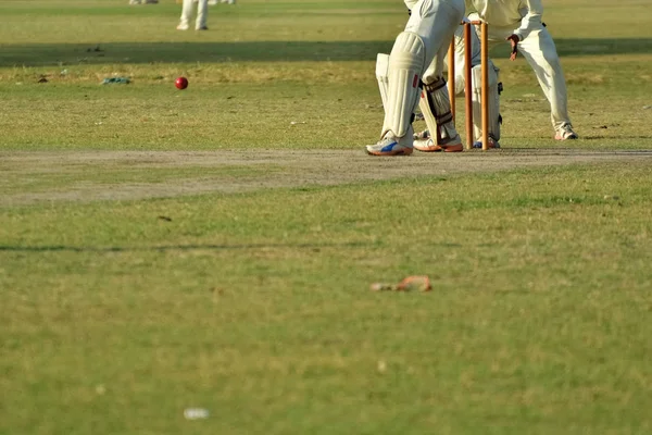 Jungen spielen Cricket — Stockfoto