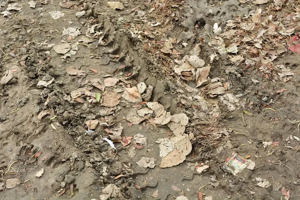 Колесная дорожка на грязной земле. — стоковое фото