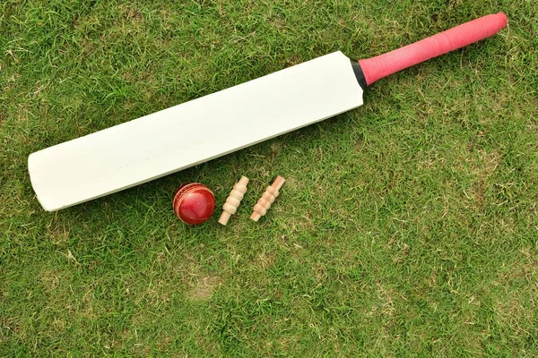 Cricket bat and ball