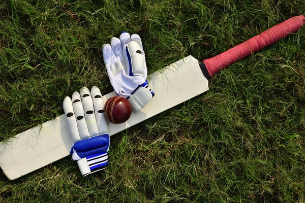 Cricket gloves and bat