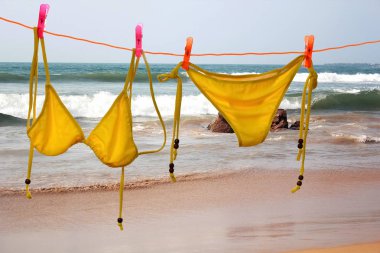 İpte asılı Bikini 