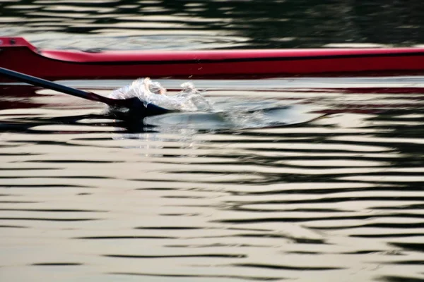Close Man Rowing Kayak — Stock Photo, Image