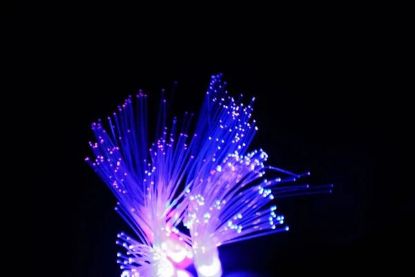 Ethernet Kabel Optische Vezel Tegen Zwarte Achtergrond — Stockfoto