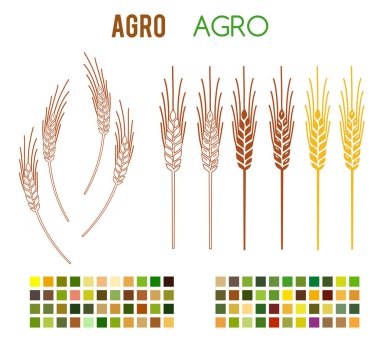 Agro set tasarımı öğeleri renk tarzı simgeleri fonts2