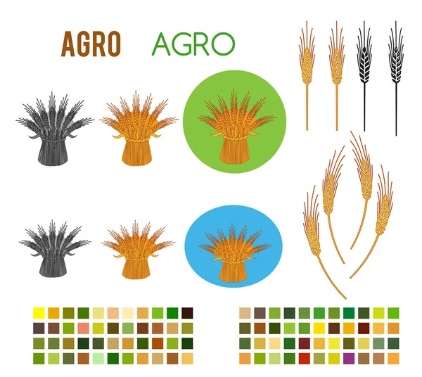 Agro tasarım öğeleri renk tarzı simgeleri yazı tiplerini ayarlayın. — Stok Vektör