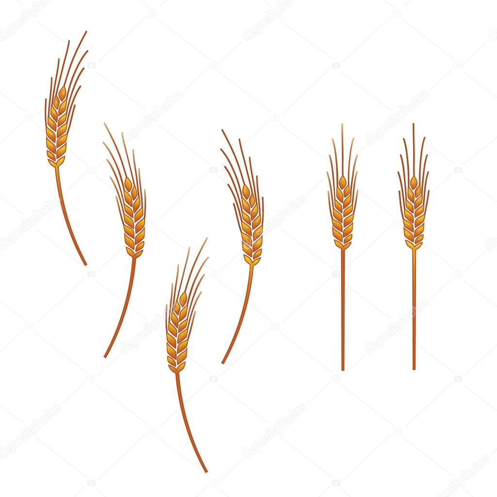 icon ears grain crops wheat yam design element