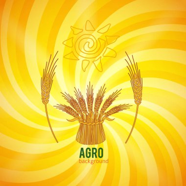 Tasarım öğeleri arka plan şablonu organik agriculture04