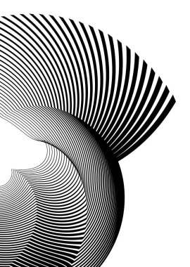 Büküm çizgilerinin beyaz arka planında soyut spiral siyah tasarım elemanı. Seçkin kartvizit, basılı broşür, broşür, afiş, kapak kitabı, etiket, kumaş