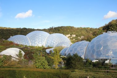 Eden Project Cornwall clipart