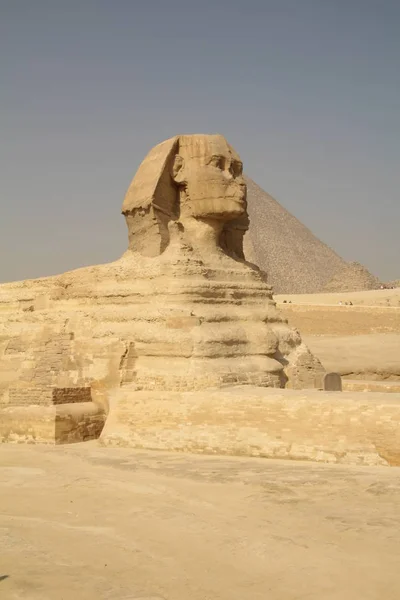 Le grand sphinx — Photo