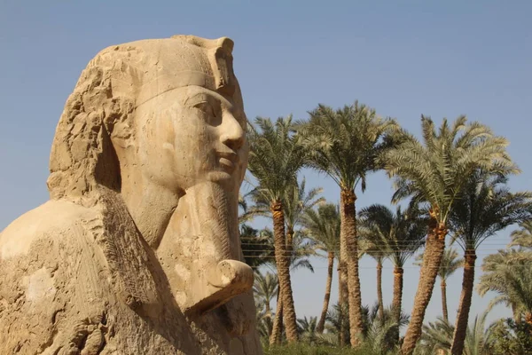 Sphinx de Gizeh près du Caire, en Égypte. — Photo