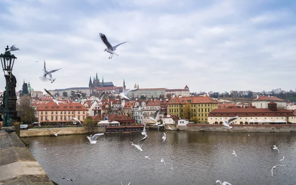 Vista Dal Ponte Carlo Sul Castello Praga Hradcany Nella Soleggiata — Foto Stock