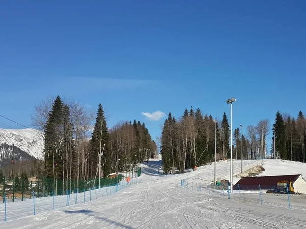 Ampia pista sciistica tra i pini delle montagne caucasiche — Foto Stock