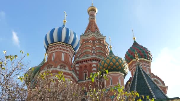 St. Basil's Cathedral is blessed — Stock Video