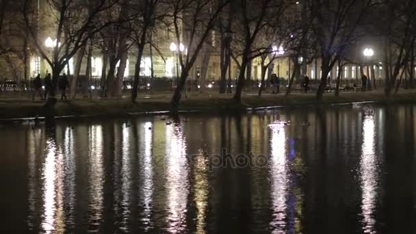 Night, a lake on Chistoprudny Boulevard, people walk, ducks swim along the lake — Stock Video