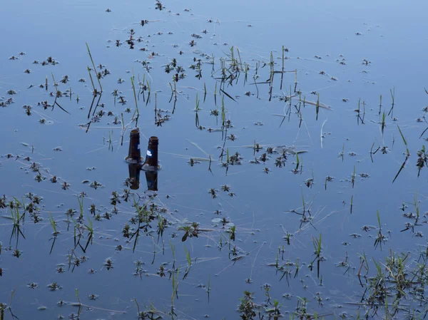 Göl kenarında korkuluk boş bira şişeleri