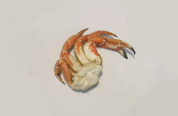 yengeç bacağı ve pençe