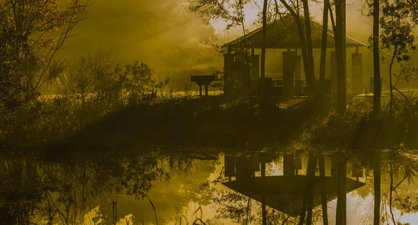 Barbekü alanı siluet ormanda