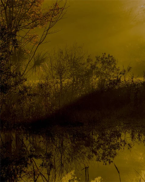 Orman gündoğumu, siste