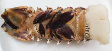 Istakoz kuyruğu dow ters