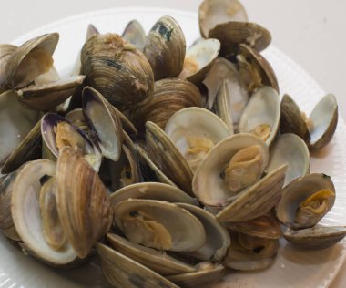 Beyaz tabak istiridye