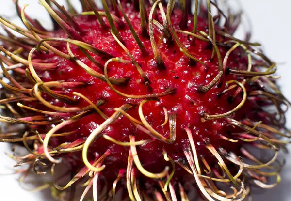 Rambutan meyve tatlı