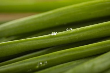 Tatlı taze yeşillik