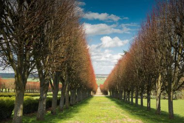 Thoiry Şatosu Fransa 'daki Rönesans döneminin çok güzel bir görüntüsü. Fransa 'da güzel yerler. Thoiry Labirint.
