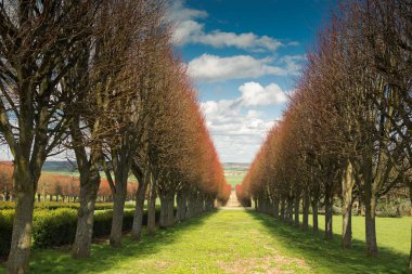 Thoiry Şatosu Fransa 'daki Rönesans döneminin çok güzel bir görüntüsü. Fransa 'da güzel yerler. Thoiry Labirint.