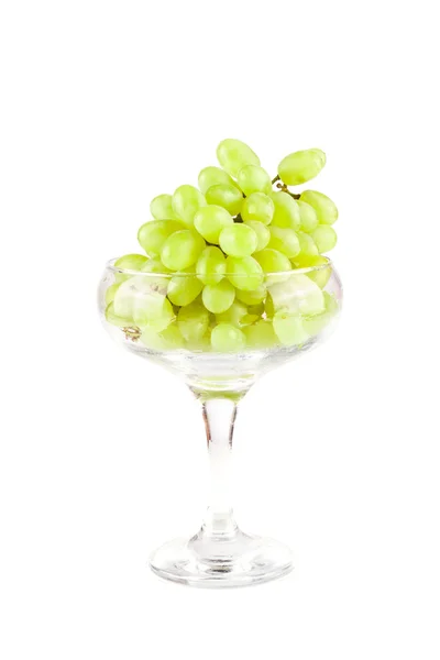 Green fresh ripe grapes — Stock Photo, Image