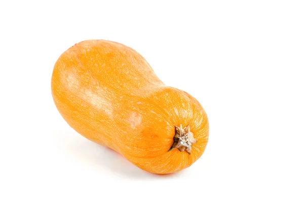 Ripe fresh pumpkin — Stock Photo, Image