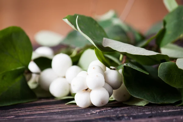 Witte snowberries op houten achtergrond — Stockfoto