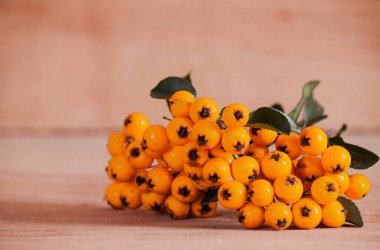 Ahşap arka plan üzerinde izole ateş dikeni