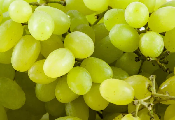 Uvas verdes frescas maduras close up . — Fotografia de Stock