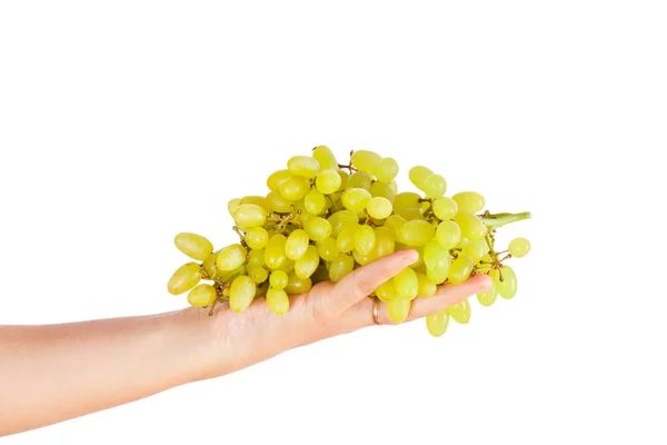 Uvas verdes frescas maduras na mão da mulher — Fotografia de Stock