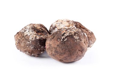 Fotoğraf patates şımarık. Kötü ürünler