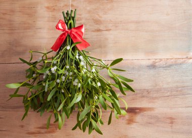 Broom from green mistletoe  clipart